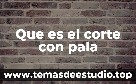 Que es el corte con pala
