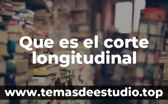 Que es el corte longitudinal