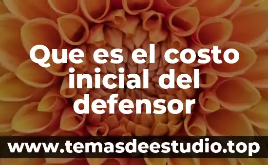 Que es una unidad de aprendizaje en educacion inicial 6 Que es el costo inicial del defensor