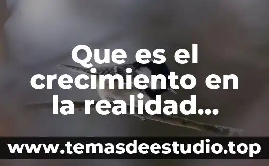 Que es el crecimiento en la realidad nacional