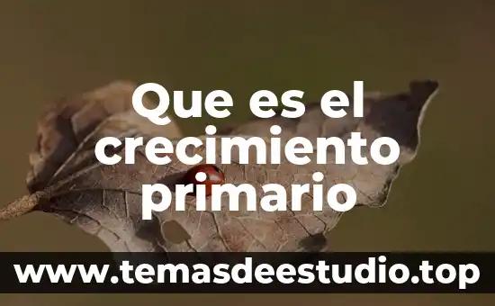 Qué es asentamiento primario en danza 4 Que es el crecimiento primario