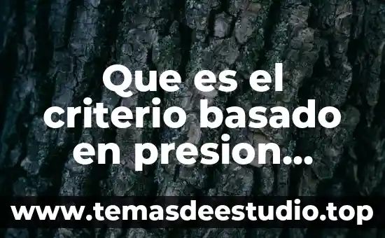 Qué es el amor argumento basado en datos 4 Que es el criterio basado en presion judicial