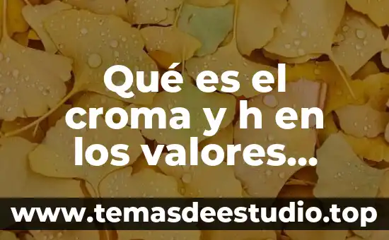 Actitudes y valores que es 8 Qué es el croma y h en los valores densitométricos
