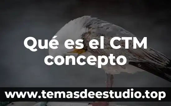 Que es un concepto rector 7 Qué es el CTM concepto