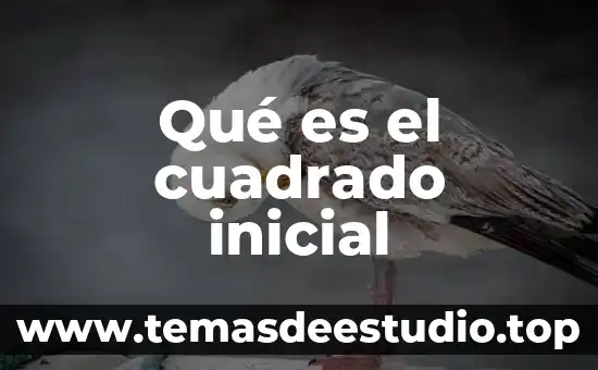 Que es una unidad de aprendizaje en educacion inicial 3 Qué es el cuadrado inicial