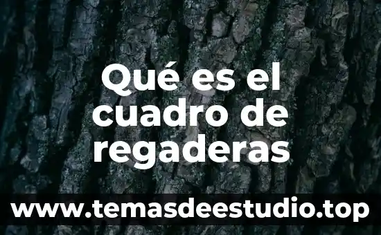Qué es el cuadro de operacionalización de la variable 8 Qué es el cuadro de regaderas