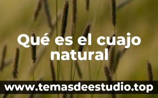 Qué es el gas natural y de qué está compuesto 6 Qué es el cuajo natural