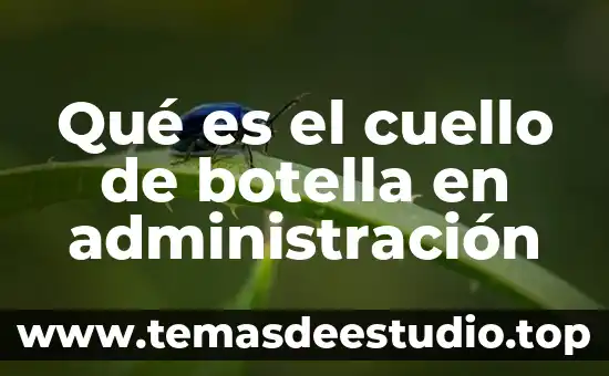 Que es la administracion de la justicia en roma 3 Qué es el cuello de botella en administración