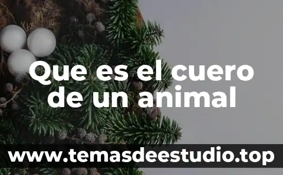 Que es docilidad significado 4 Que es el cuero de un animal
