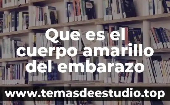 Que es algo amarillo que sale de las heridas 4 Que es el cuerpo amarillo del embarazo