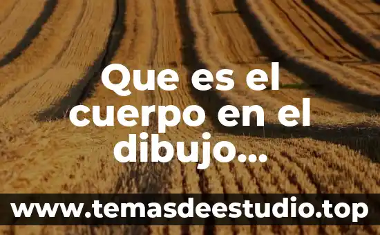 Dibujo que es cultura 8 Que es el cuerpo en el dibujo concepto