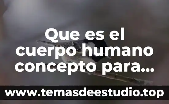 Que es el cuerpo humano concepto para niños
