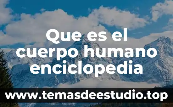 Que es peso aparente de un cuerpo 3 Que es el cuerpo humano enciclopedia