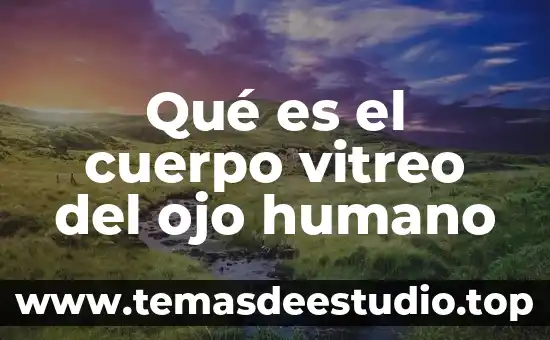 Qué es el cuerpo vitreo del ojo humano
