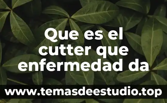 Que es un sistema informaticode leonardo da vinci 5 Que es el cutter que enfermedad da