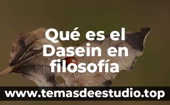 Qué es el Dasein en filosofía