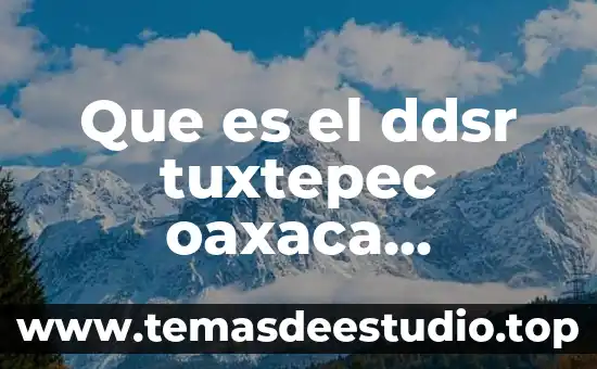 Que es un nbp en proyectos 3 Que es el ddsr tuxtepec oaxaca proyectos