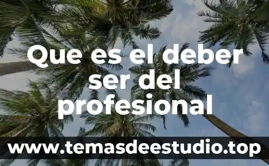 Que es el deber ser del profesional
