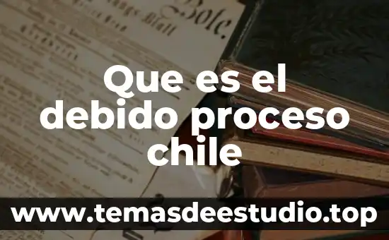 Que es la organizacion como proceso administrativo por 6 Que es el debido proceso chile