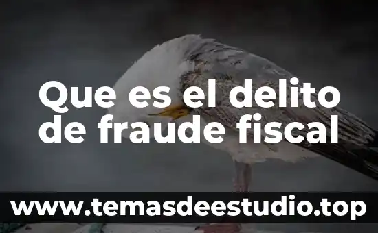 Que es el delito de fraude fiscal