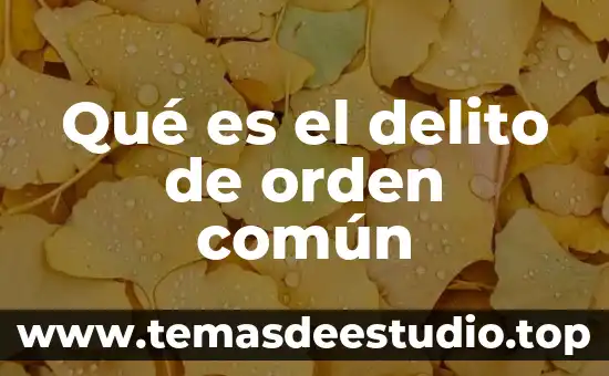 Qué es la construcción de la teoría del delito 5 Qué es el delito de orden común