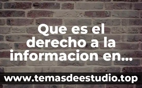 Que es el derecho a la informacion en mexico