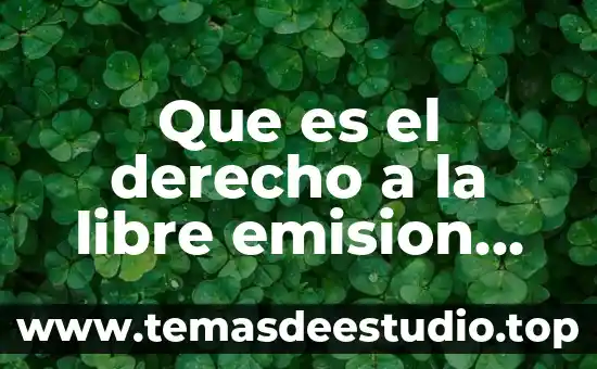 Qué es la parte actora en derecho mexicano 5 Que es el derecho a la libre emision del pensamiento