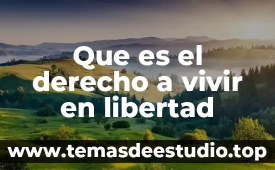 Vivir en sync activia que es 7 Que es el derecho a vivir en libertad