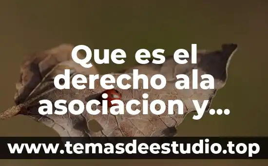 Que es el principio de acto derecho penal 3 Que es el derecho ala asociacion y reunion