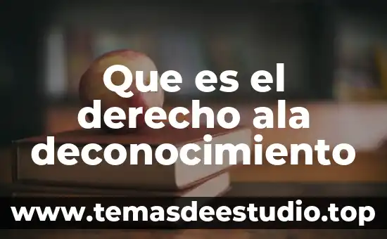 Qué es la parte actora en derecho mexicano 6 Que es el derecho ala deconocimiento