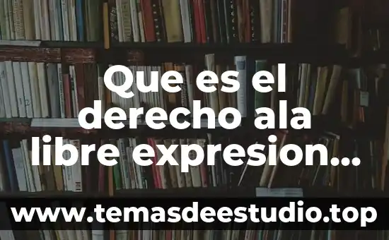 Que es el derecho ala libre expresion en colombia