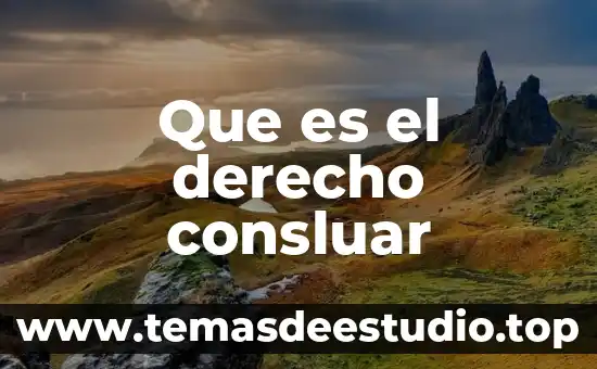 Que es el derecho consluar