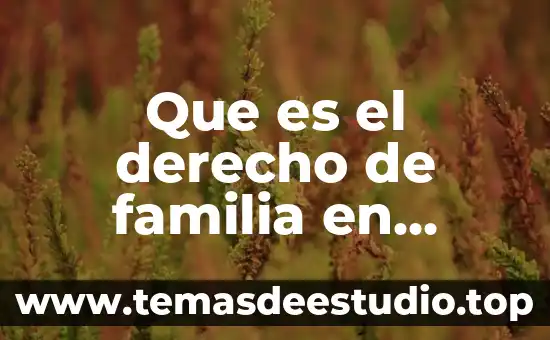 Que es el derecho de familia en derecho civil