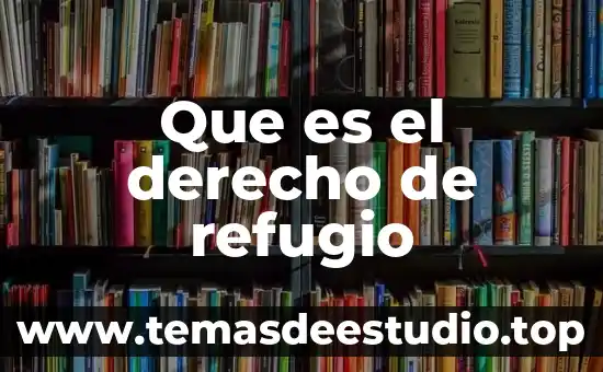 Qué es la parte actora en derecho mexicano 8 Que es el derecho de refugio