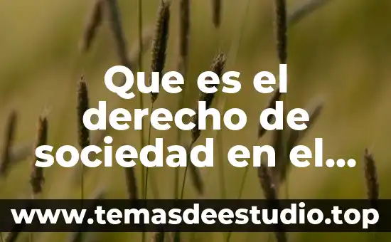 Que es el derecho de sociedad en el derecho laboral