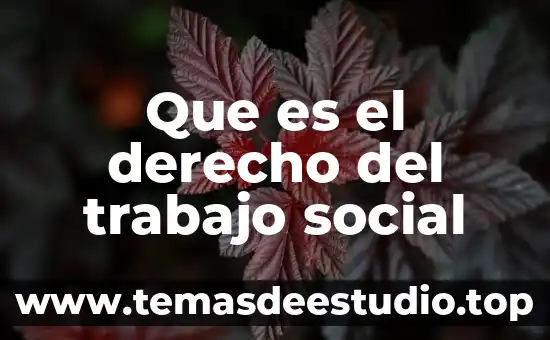 Ser social y sociedad que es ser ético 6 Que es el derecho del trabajo social