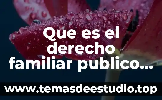 Que es el derecho familiar publico o privado