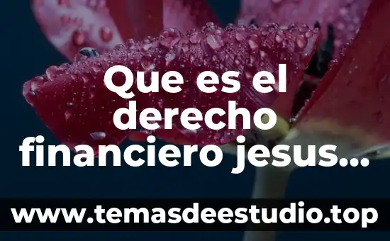 Que es jesus amor para colorear 5 Que es el derecho financiero jesus de la fuente