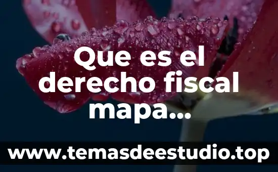 Que es la historia conceptual y ejemplo 6 Que es el derecho fiscal mapa conceptual