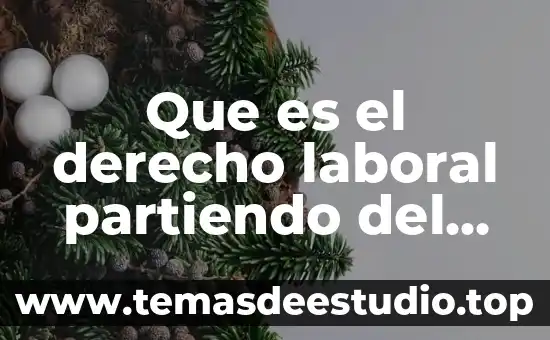 Anillo del grupo e que es 5 Que es el derecho laboral partiendo del concepto de administracion