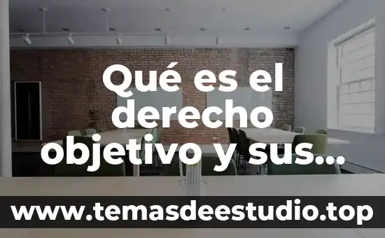 Qué es el derecho objetivo y sus características