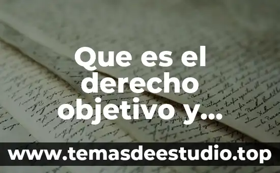 Que es el derecho objetivo y sustantivo