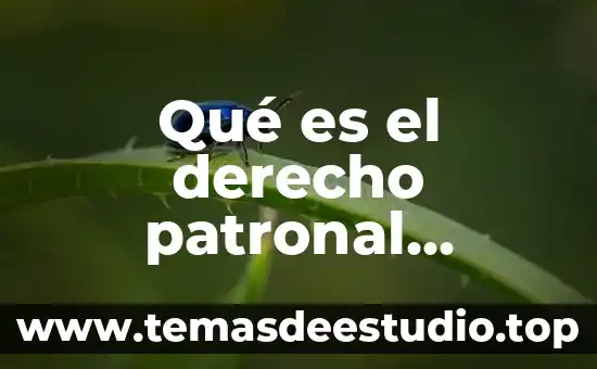 Que es vertido en derecho 7 Qué es el derecho patronal naturaleza