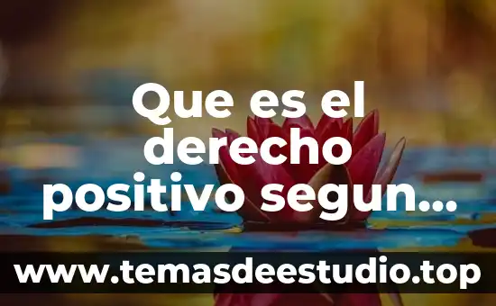 Que es la justicia de hans kelsen resumen 7 Que es el derecho positivo segun kelsen