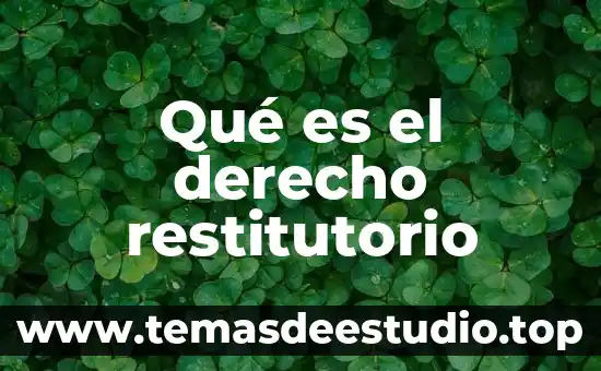 Que es el principio de acto derecho penal 5 Qué es el derecho restitutorio