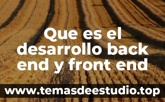 Que es sn en desarrollo del sistema nervioso central 7 Que es el desarrollo back end y front end