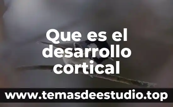 Que es lo que desarrollo steve jobs 5 Que es el desarrollo cortical