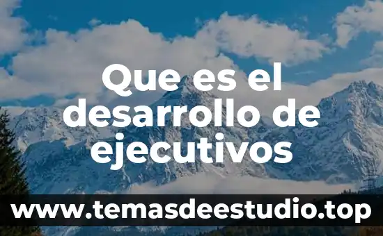 Que es una forma en arquitectura 3 Que es el desarrollo de ejecutivos