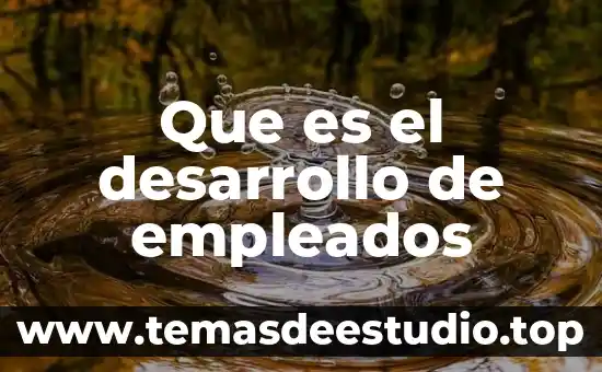 Que es lo que desarrollo steve jobs 3 Que es el desarrollo de empleados
