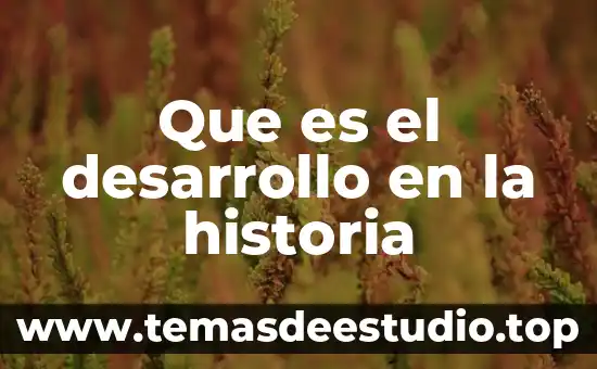Que es el desarrollo en la historia